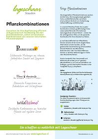lageschaarstauden pflanzkombinationen v2025 02 de