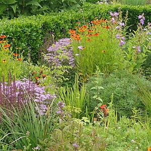 Carnelian Prairie Garden
