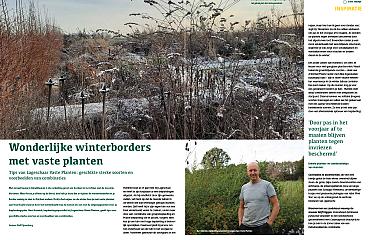 Wonderlijke winterborders met vaste planten