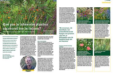 Hoe pas je inheemse planten succesvol toe in tuinen?