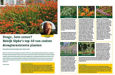 Droge, hete zomer? Bekijk Sipke's top 10 van coolste droogteresistente planten