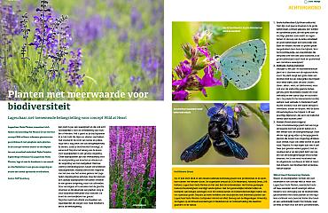 Planten met meerwaarde voor biodiversiteit