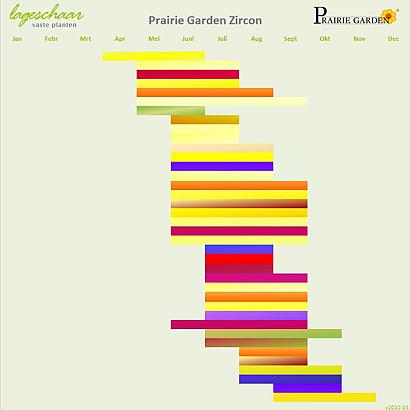 Zircon Prairie Garden