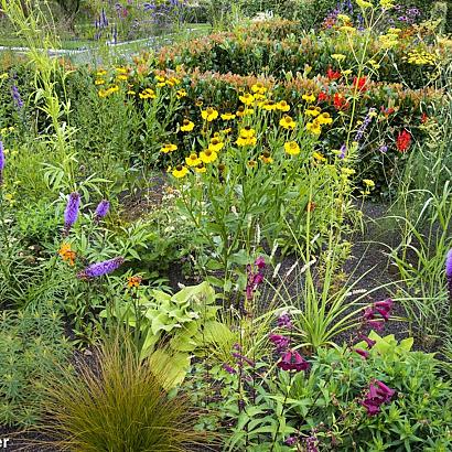 Zircon Prairie Garden