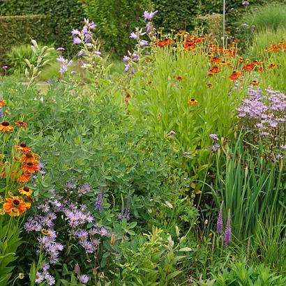 Carnelian Prairie Garden