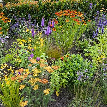 Carnelian Prairie Garden