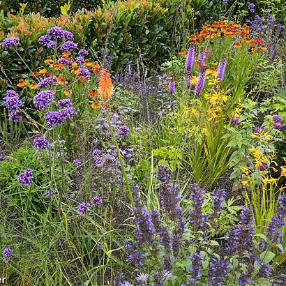 Carnelian Prairie Garden