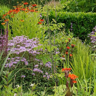 Carnelian Prairie Garden