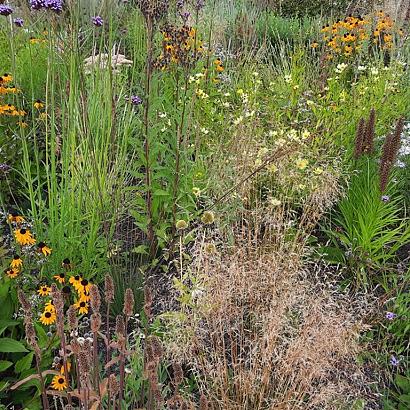 Platinum Prairie Garden