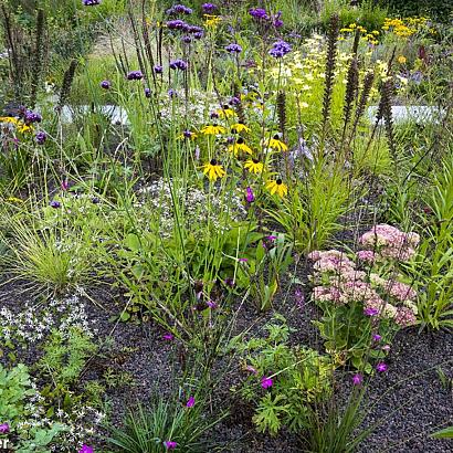 Platinum Prairie Garden