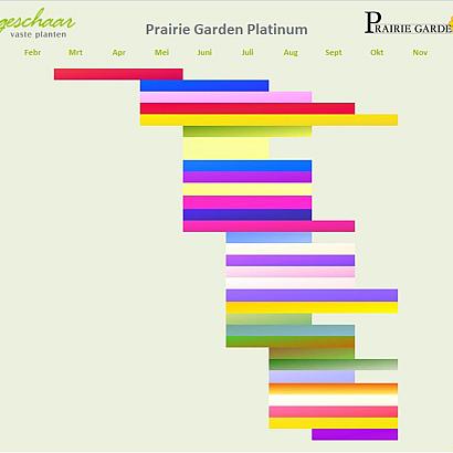 Platinum Prairie Garden