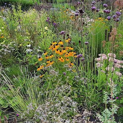 Platinum Prairie Garden