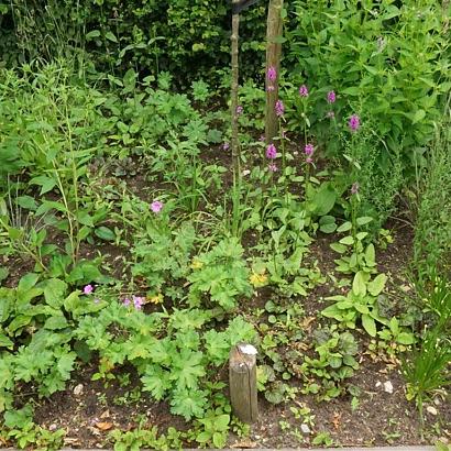 Twist Fleur Dansante