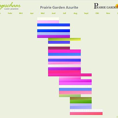 Azurite Prairie Garden