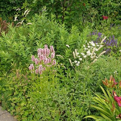 Emerald Prairie Garden