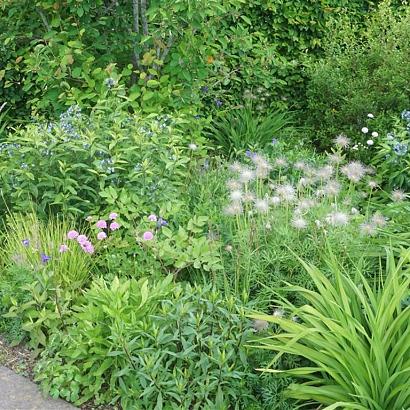 Emerald Prairie Garden