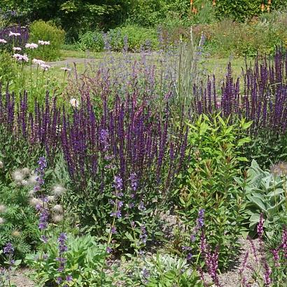 Fluorite Prairie Garden