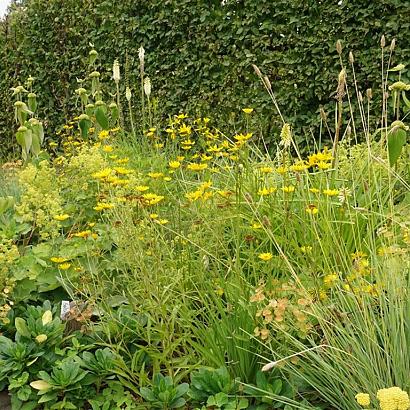 Salsa Fleur Dansante