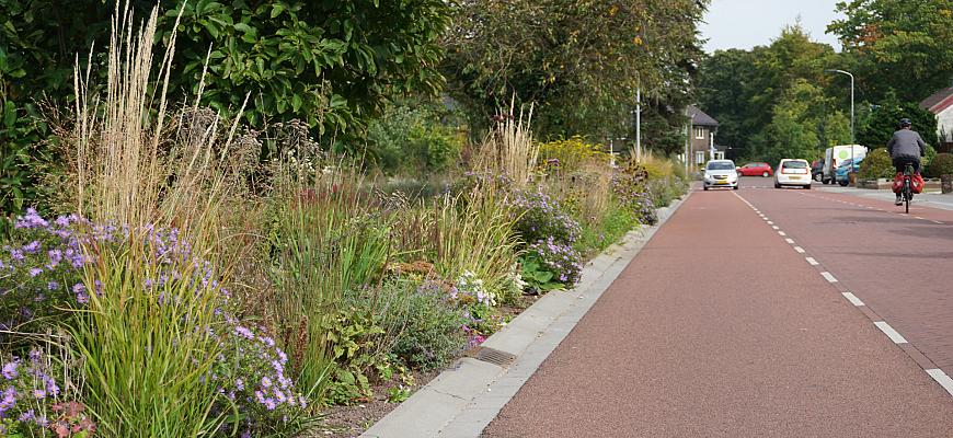 dsc02301 pg gem aalten   ralf steegs   lageschaar vaste planten