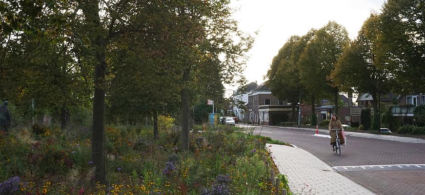 dsc03531 bew pg zutphendh    ralf steegs   lageschaar vaste planten