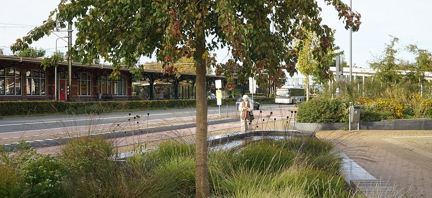 dsc03602 fleur dansante dieren    ralf steegs   lageschaar vaste planten