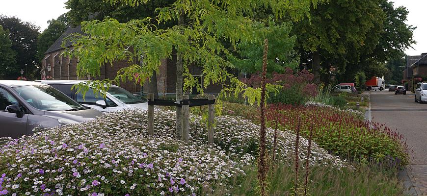 dsc05938 fleur dansante   steenderen marktplein    ralf steegs   lageschaar vaste planten