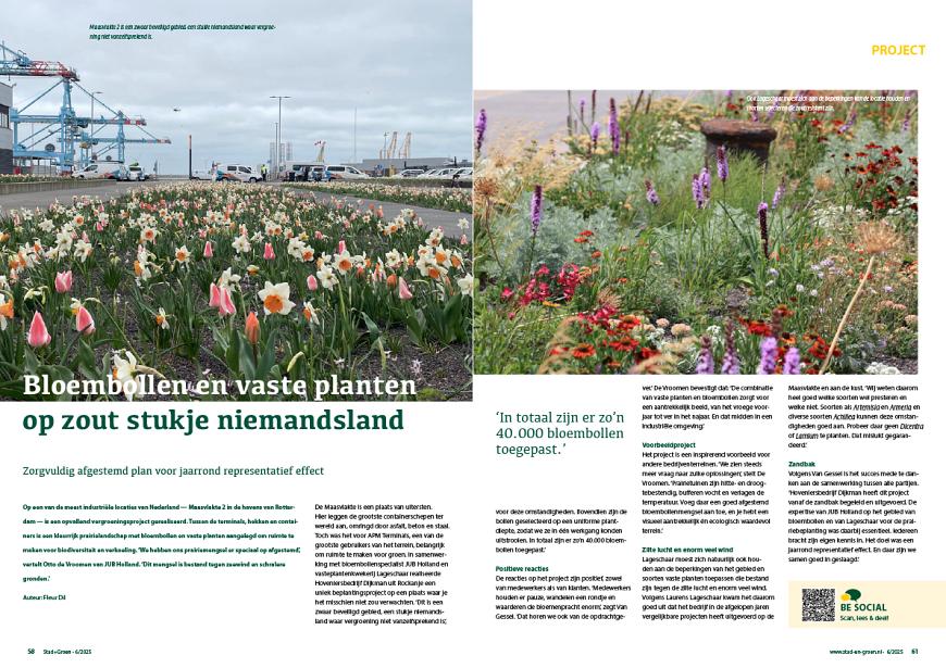 Bloembollen en vaste planten op zout stukje niemandsland