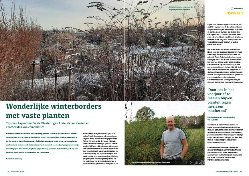 Wonderlijke winterborders met vaste planten