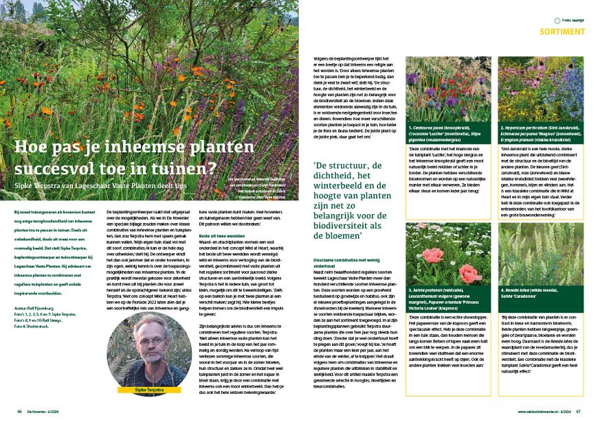 Hoe pas je inheemse planten succesvol toe in tuinen?