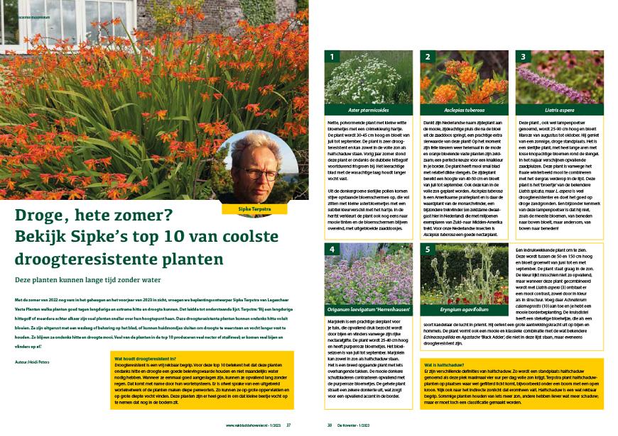 Droge, hete zomer? Bekijk Sipke's top 10 van coolste droogteresistente planten