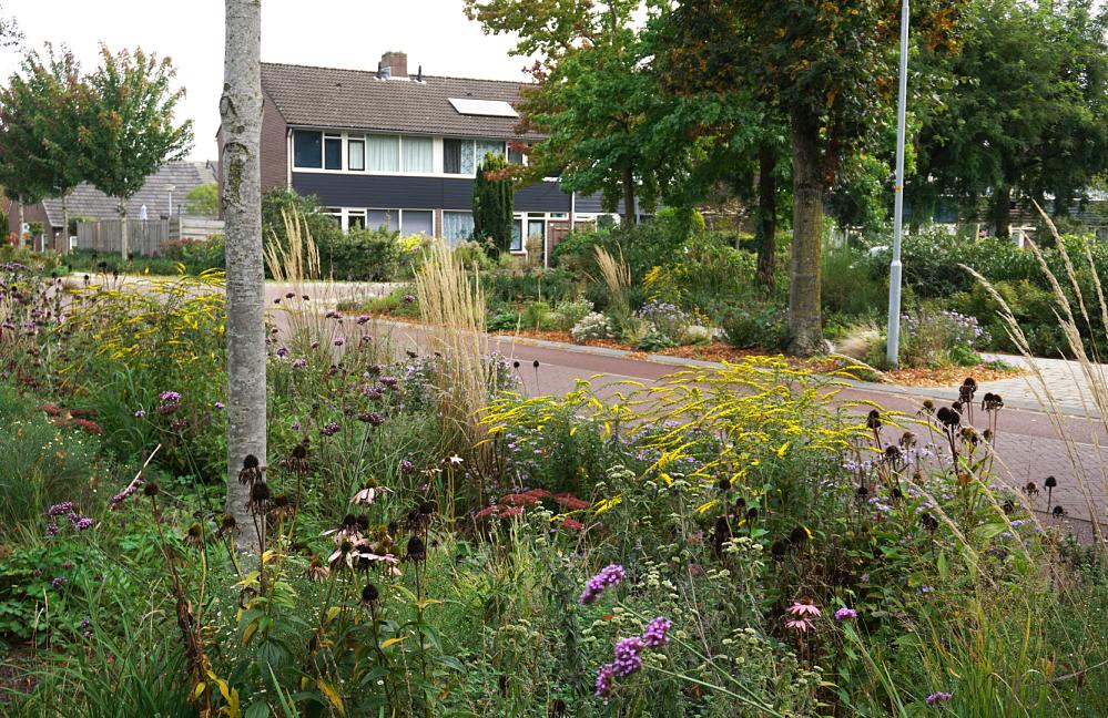 Prairie Garden - Admiraal de Ruyterstraat Aalten