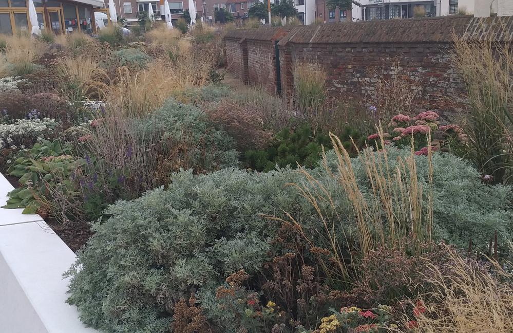 Prairie Garden - Katwijk aan Zee