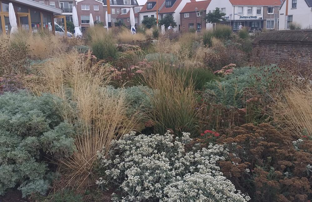 Prairie Garden - Katwijk aan Zee