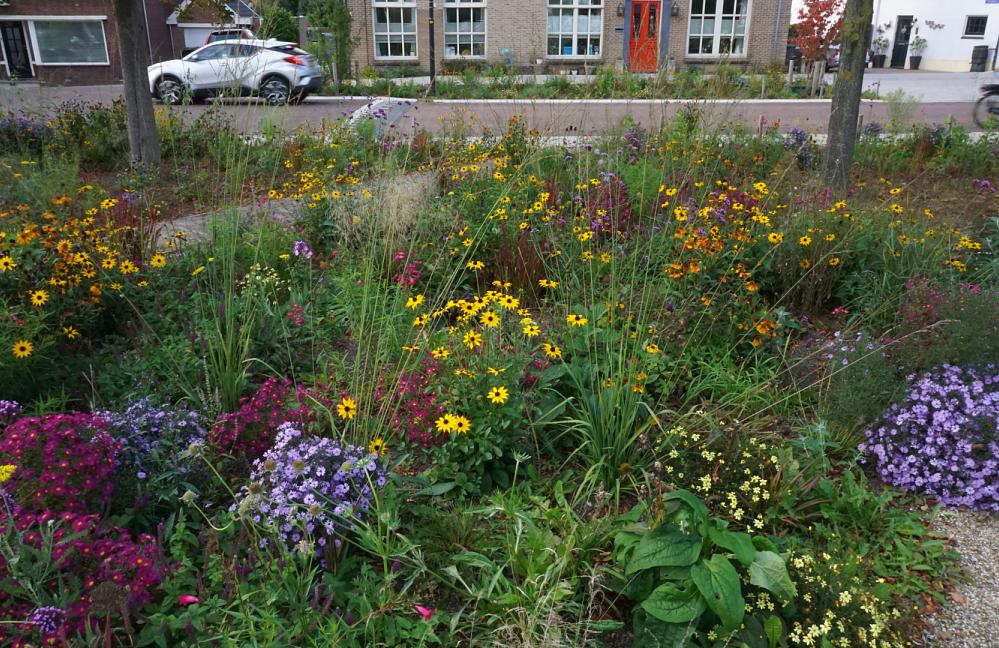 Prairie Garden - Zutphen De Hoven