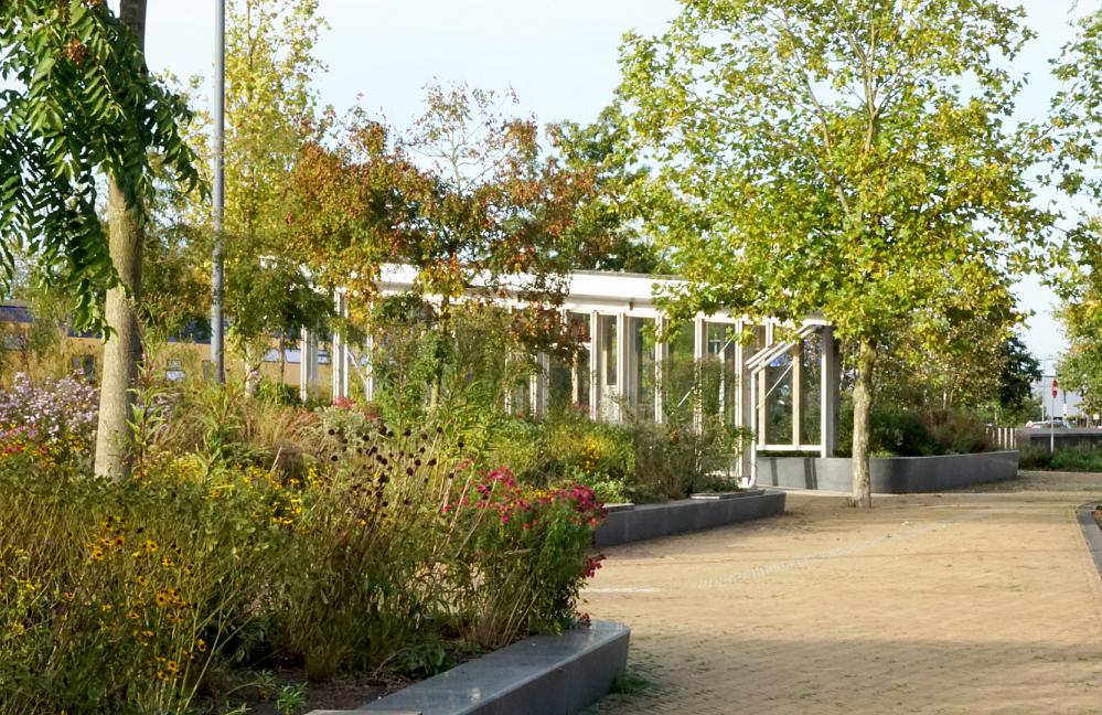 Fleur Dansante - Stationsplein Dieren