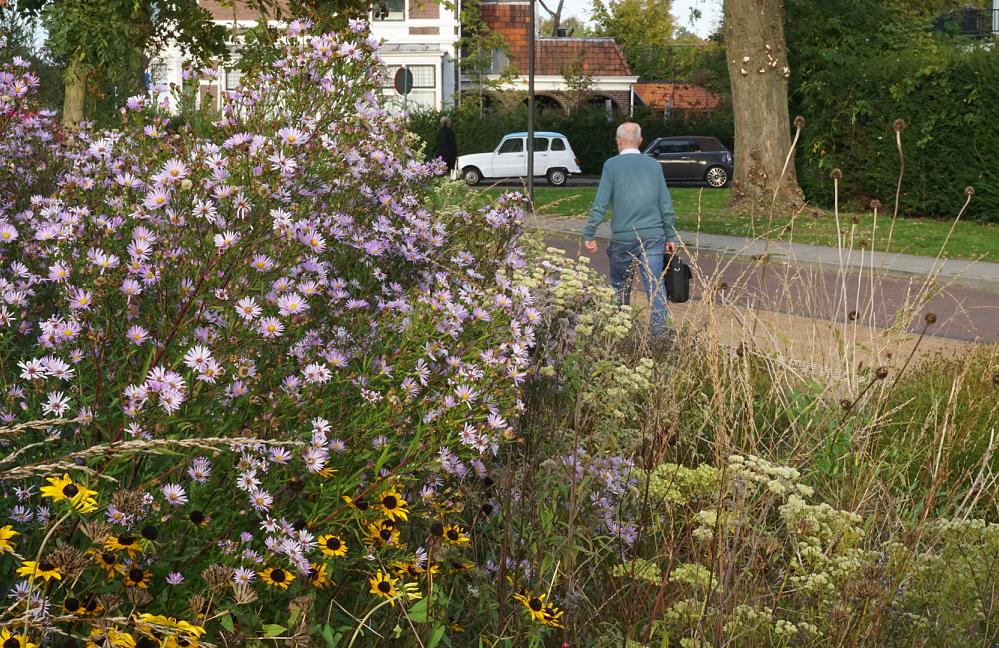 Fleur Dansante - Stationsplein Dieren