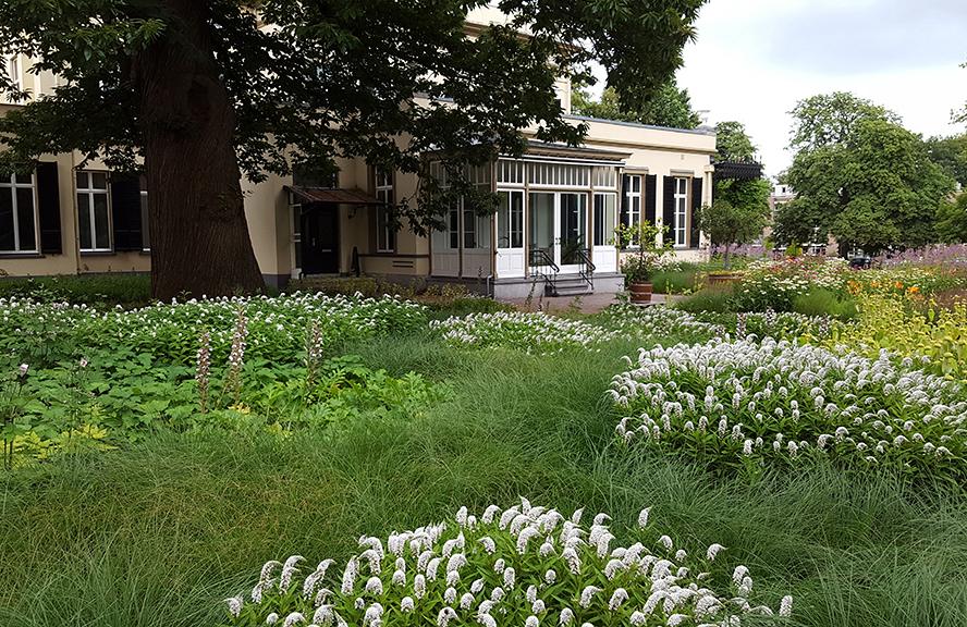 Fleur Dansante - Bronbeek Arnhem