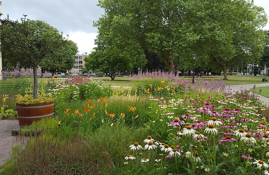 Fleur Dansante - Bronbeek Arnhem
