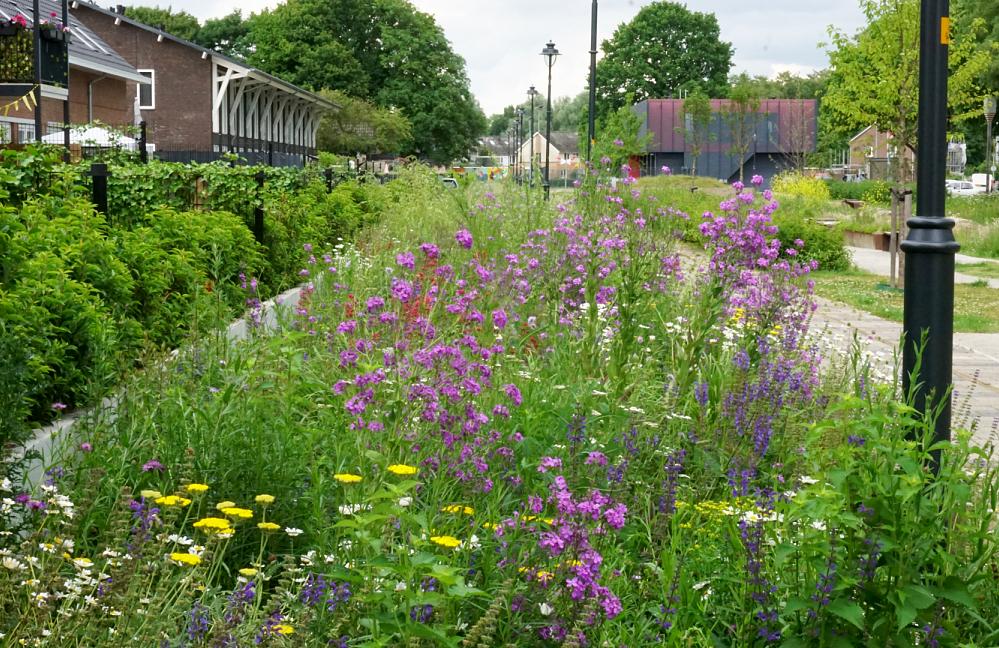 Wildissimo - Spoorpark Goor