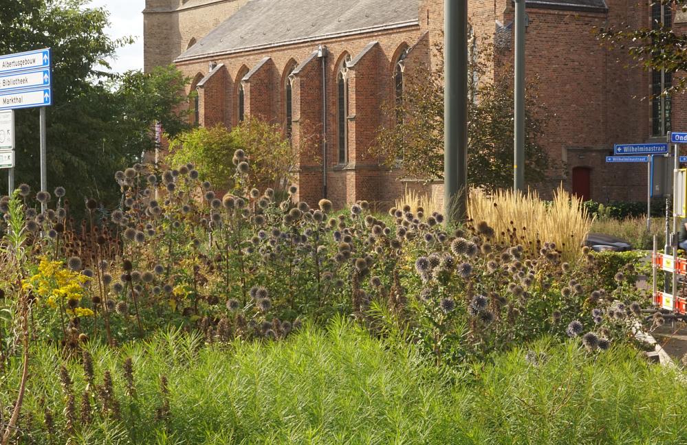 Fleur Dansante - Centrumplan Didam