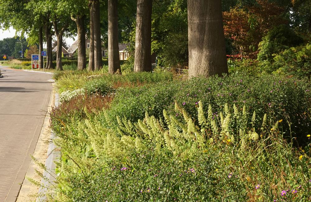 Fleur Dansante en Wildissimo - Achter-Drempt