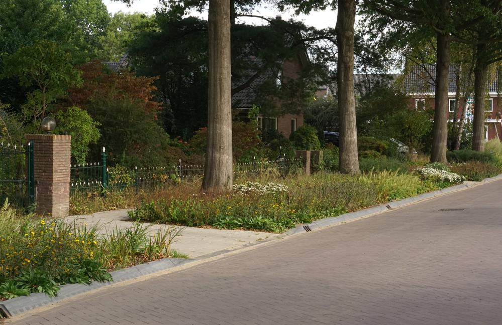 Fleur Dansante en Wildissimo - Achter-Drempt