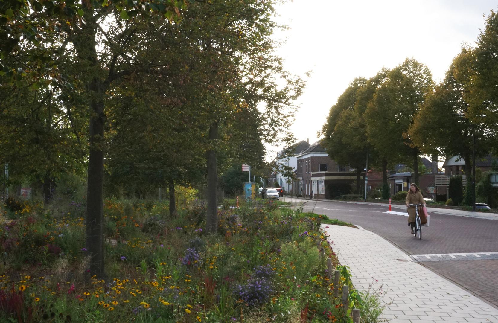 Prairie Garden - Zutphen De Hoven