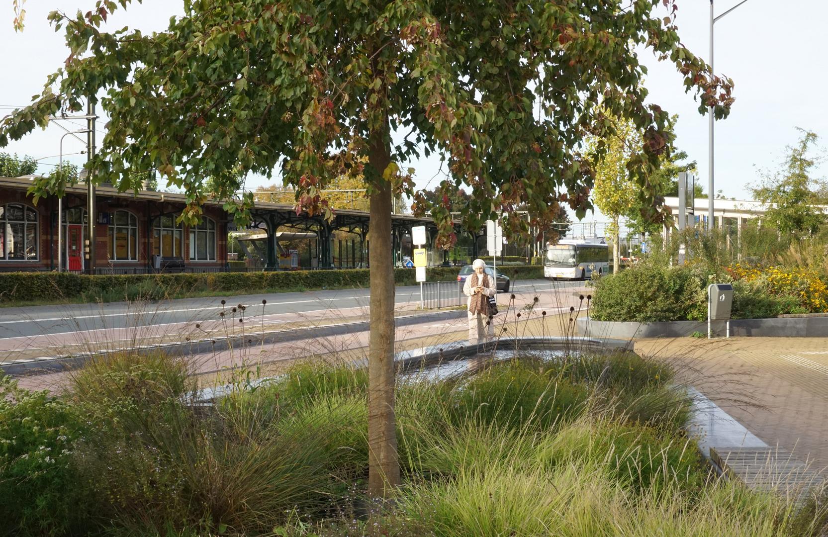 Fleur Dansante - Stationsplein Dieren