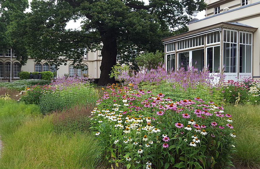 Fleur Dansante - Bronbeek Arnhem