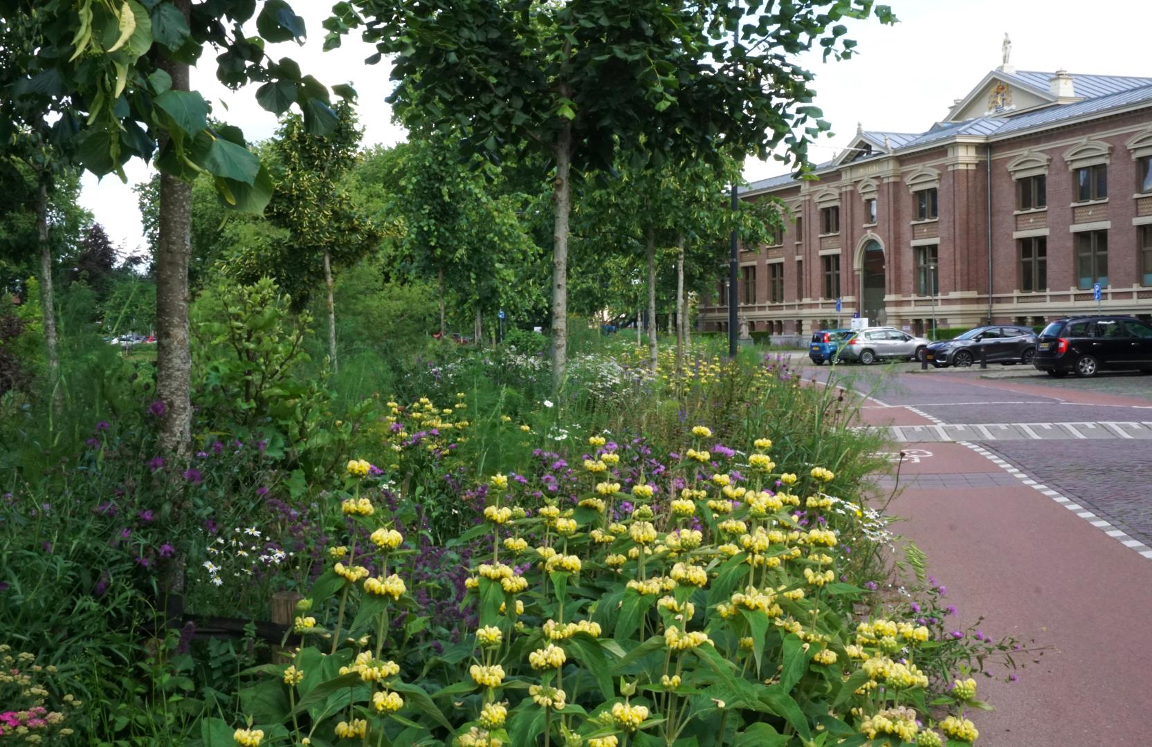 Wildissimo - Martinetsingel Zutphen