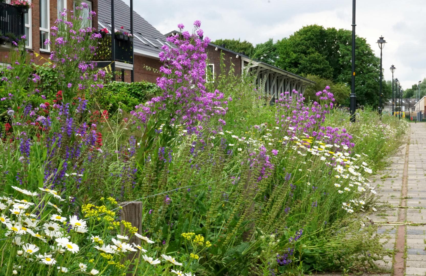 Wildissimo - Spoorpark Goor