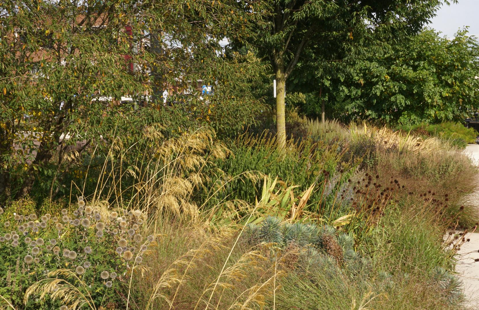 Fleur Dansante - Centrumplan Didam