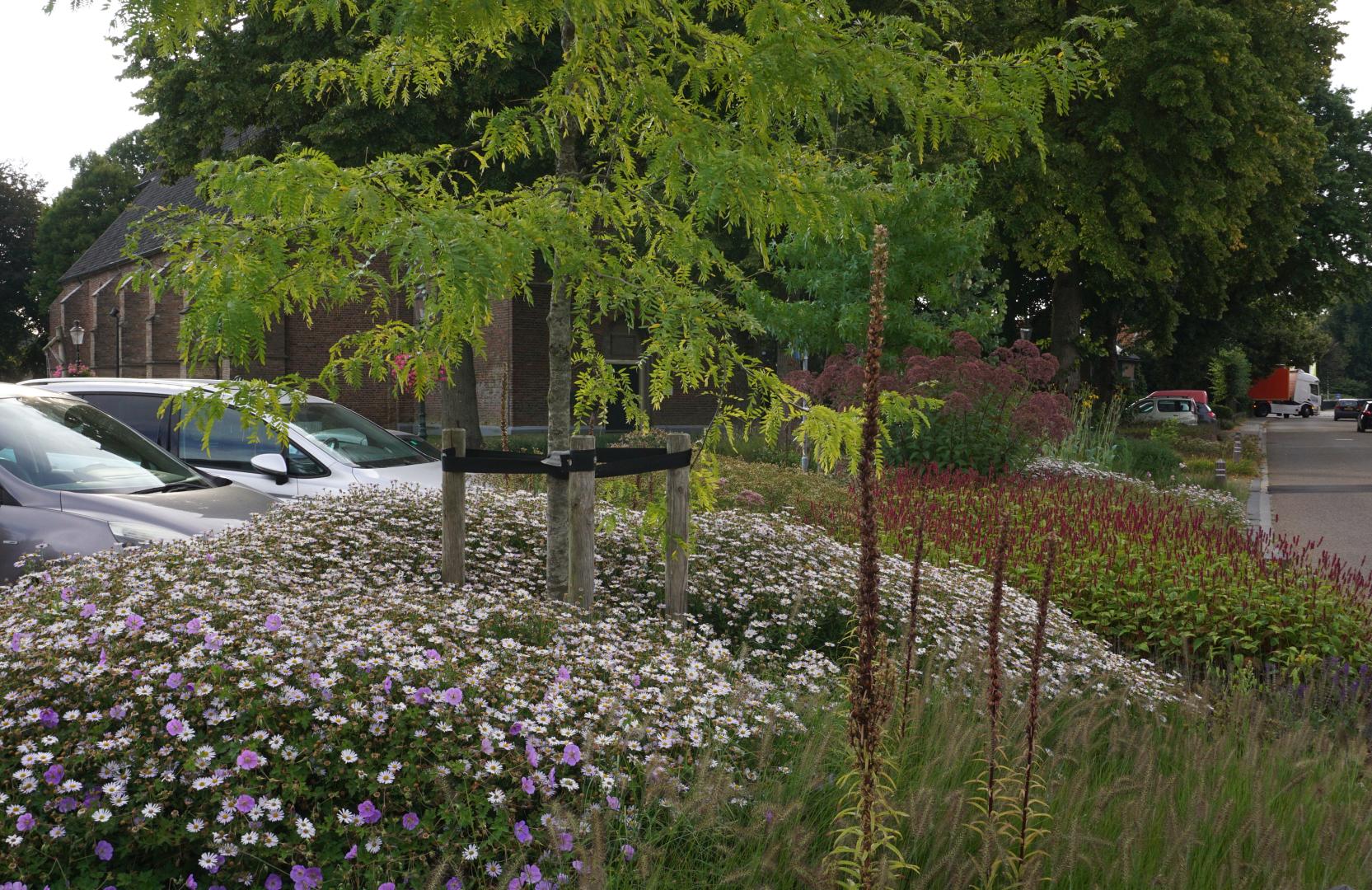 Fleur Dansante - Marktplein Steenderen