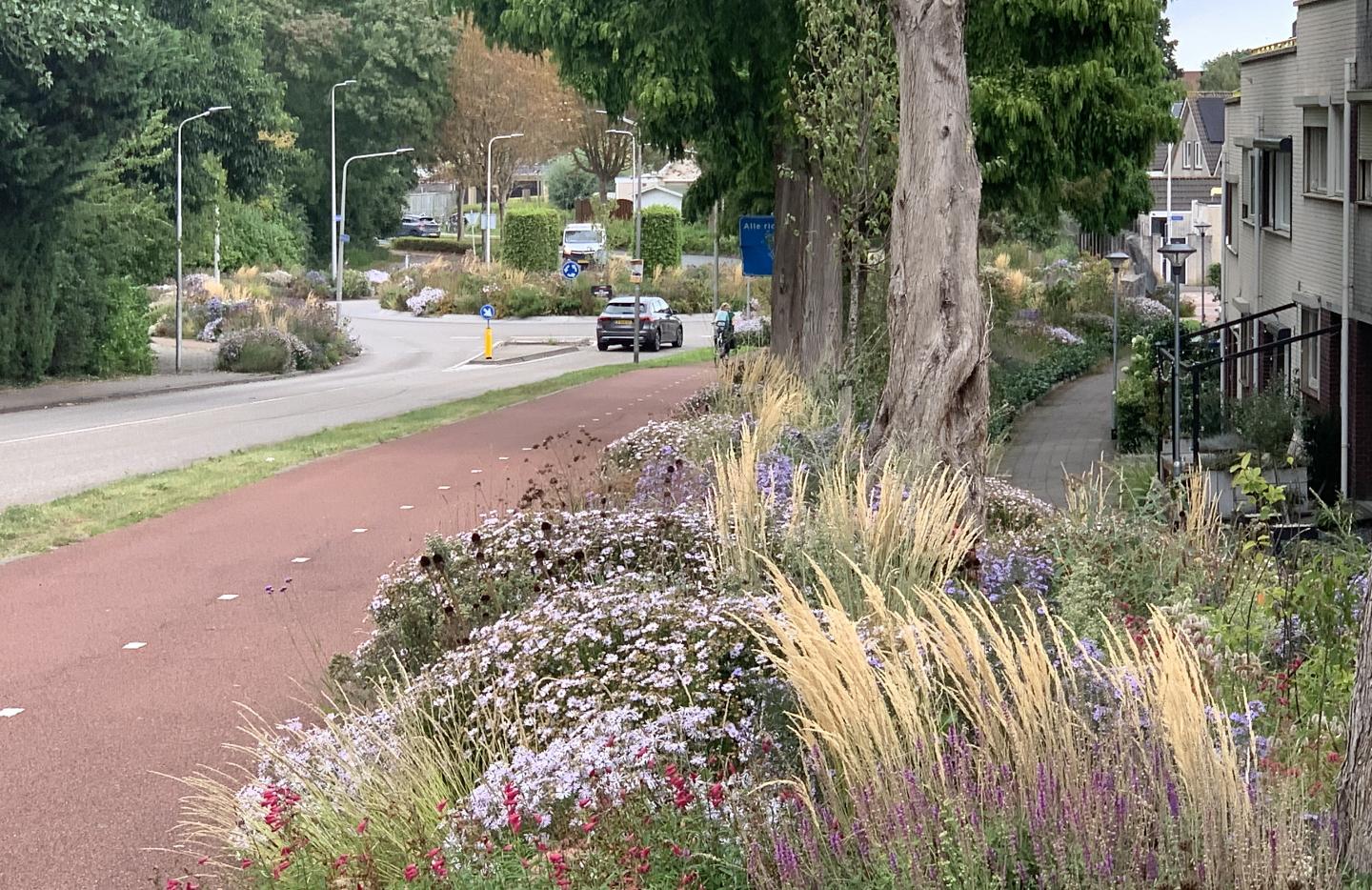 Prairie Garden - Talud en rotonde Thorbeckelaan Sliedrecht
